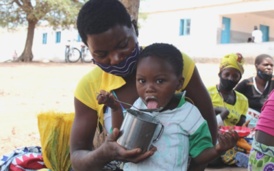 Child Health and Nutrition – A Holistic Approach to Improve Food Security in Mozambique 